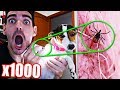 ASÍ SE VE MI PERRO Y UN ATÚN BAJO UN MICROSCOPIO !! 🔬🤢 OBSERVANDO COMIDAS ASQUEROSAS | CHUPITA