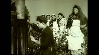 Görüş Filimi Mexanik Kamil