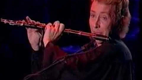 Michael Flatley Riverdance flute