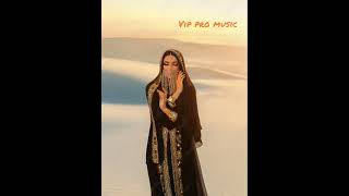 Arabic music - Ana Magrumi Fi ( VIP PRO MUSIC Remix 2024 )