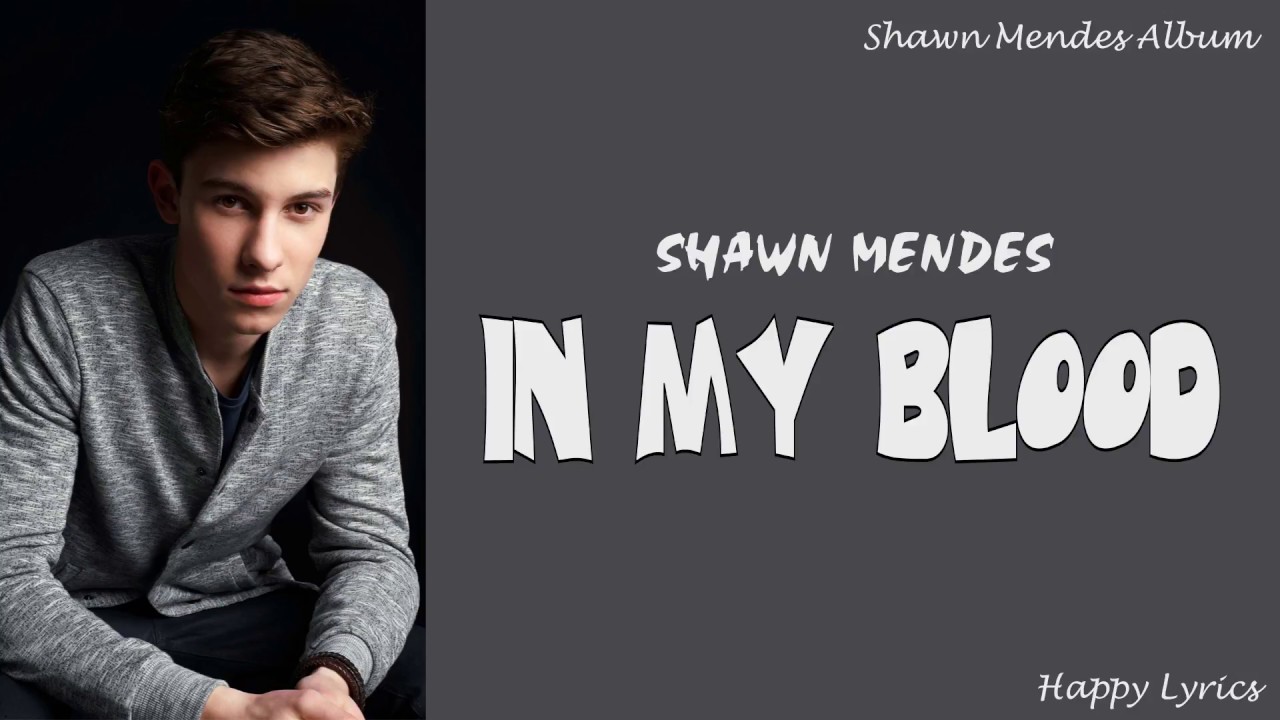 Shawn Mendes In My Blood Tekst Shawn Mendes - In My Blood (Lyrics Video) - YouTube