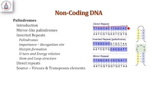 Palindromes | Inverted Repeats | Mirror like repeats | stem and loop structures