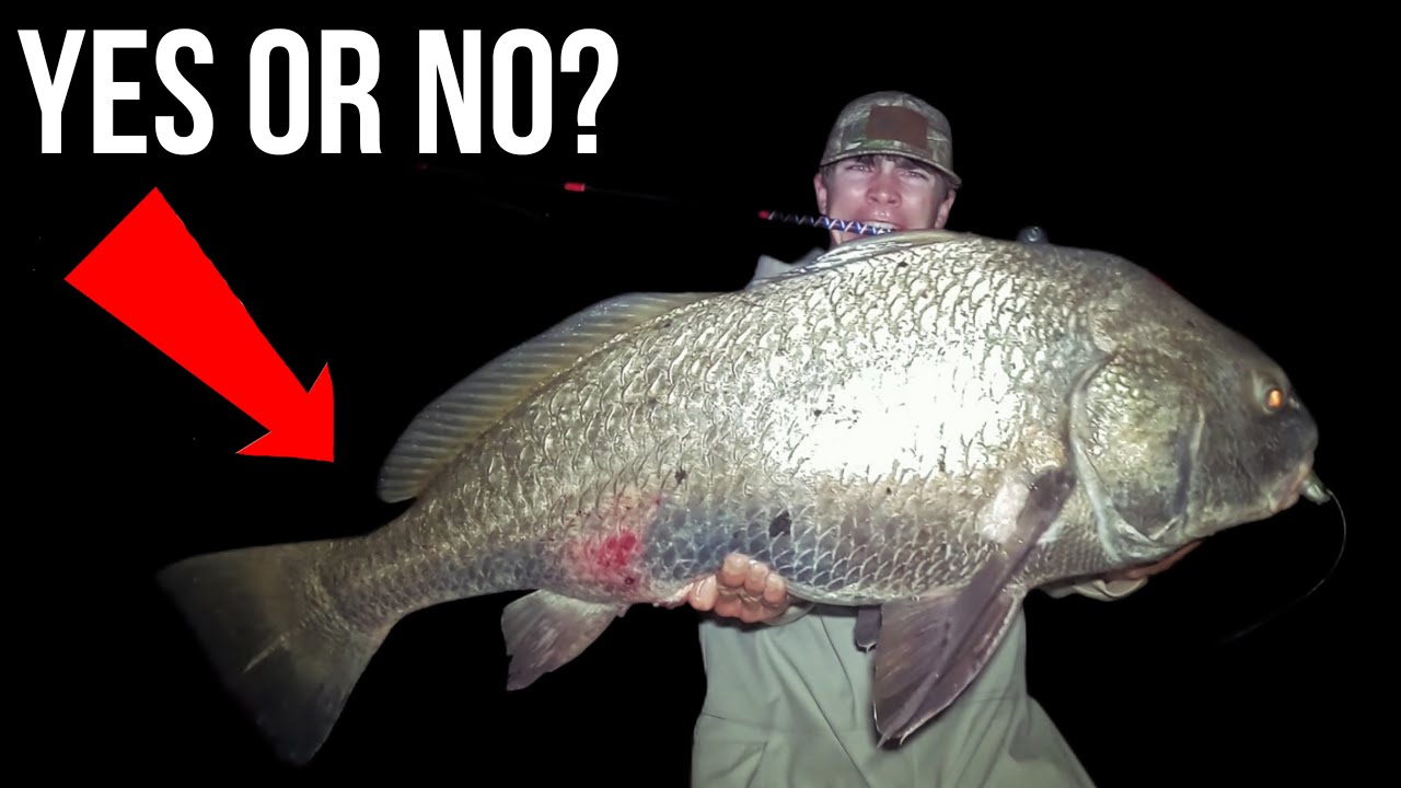 Do Fish Feel Pain When Caught? The Truth You Should Know.