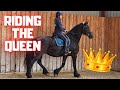 Riding Queen👑Uniek for the first time since Rising Star⭐ | Johnny as new | Friesian Horses