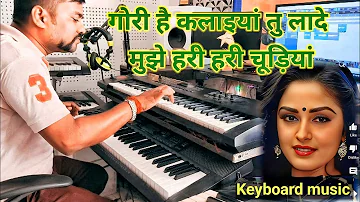 Gori Hai Kalaiyan | Instrumental Music | Shabbir Kumar | Lata Mangeshkar | Live Instrumental