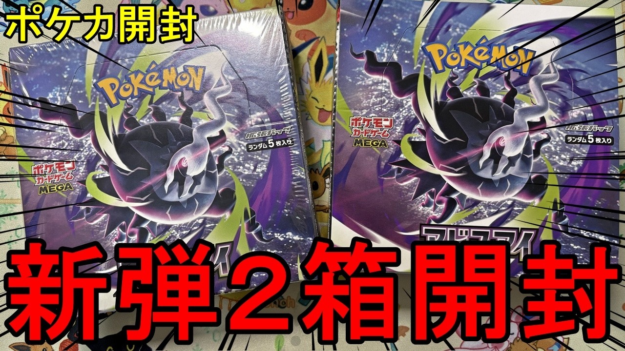 ポケモン　2点まとめ売り 【ポケモン抽選キャンペーン応募用紙付き】【オリジナル Amazon.co.jp: ポケモンカードゲーム