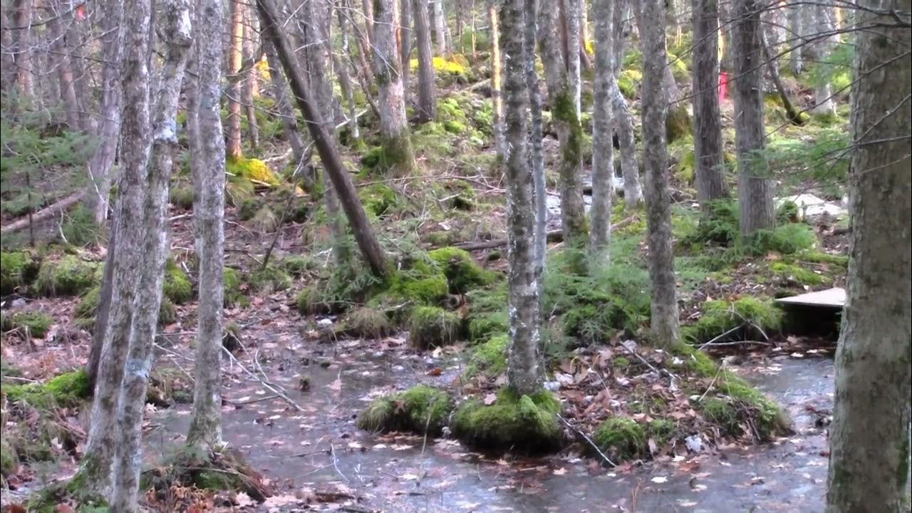 2023 Wisconsin Deer Season Opening Weekend YouTube