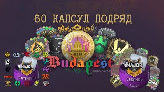 Открыл 60 капсул Budapest Major 2025 в CS2 — Возможен ли профит?