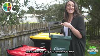How to put your bins out
