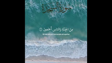 سورة السجدة قارئ عبدالرحمن مسعد #عبدالرحمن_مسعد #سورة_السجدة