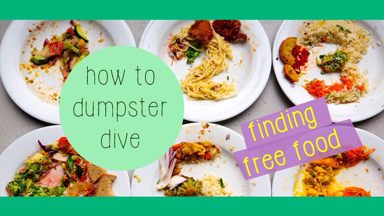 Dumpster Diving & Free Food / EPISODE #6 // GREEN&HUNGRY