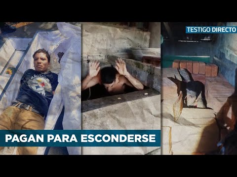 Video: ¿A los miembros de la pandilla se les paga por las recompensas?