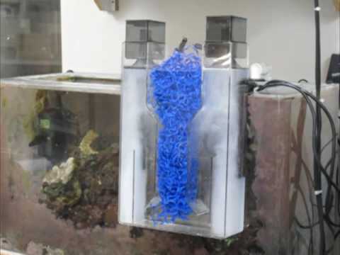 protein skimmer in freshwater aquarium