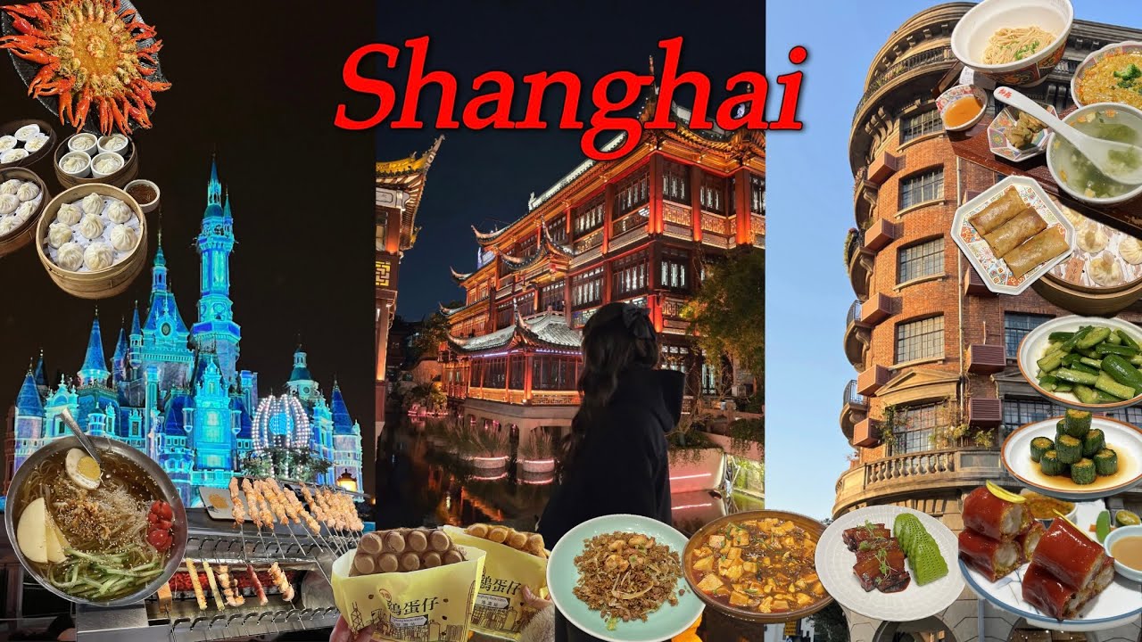 여행vlog | 상하이 3박4일 꽉꽉 눌러담은 브이로그🇨🇳 (고덕지도 링크⭕️) 점도덕, 와이탄, 디즈니랜드, 예원, 우캉멘션, 예상하이, 대한민국임시정부, 헌지우이치엔, 티엔즈팡