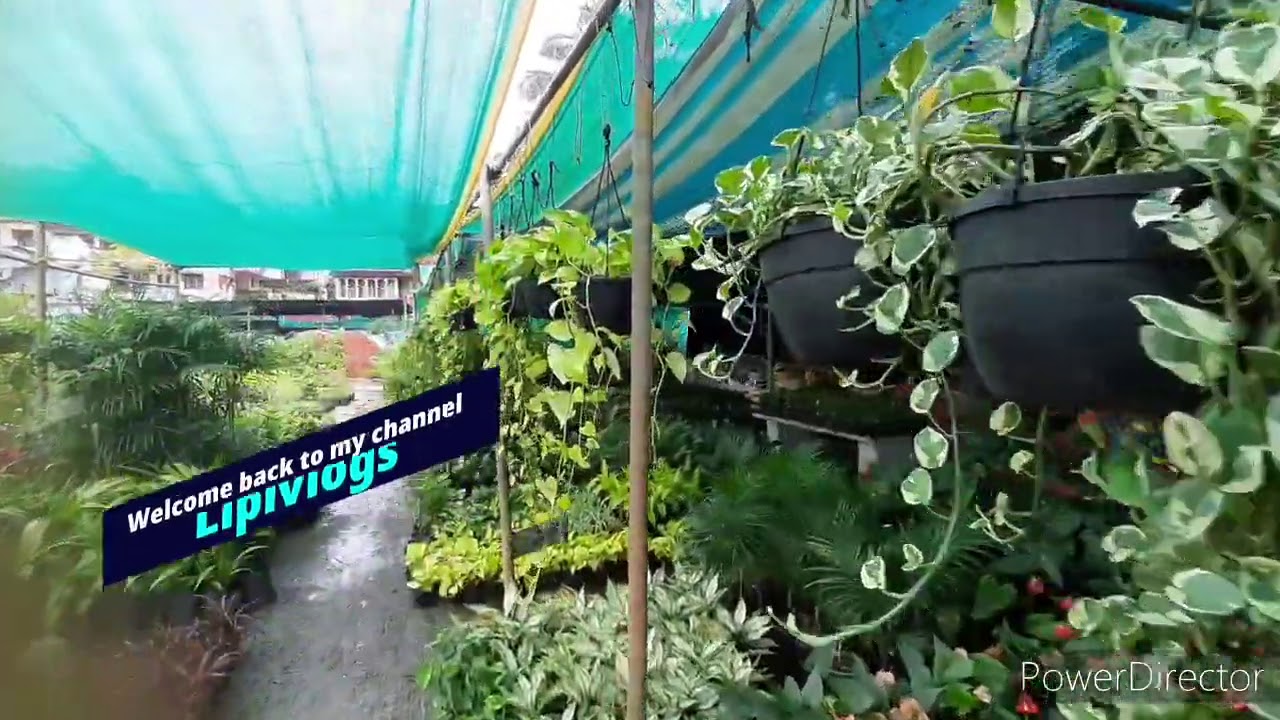 plantnursery/Plant Nursery Visit /Mangalore Flower Plant Nursery
