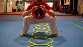 Ladder Drills For  Taekwondo Strength/Speed