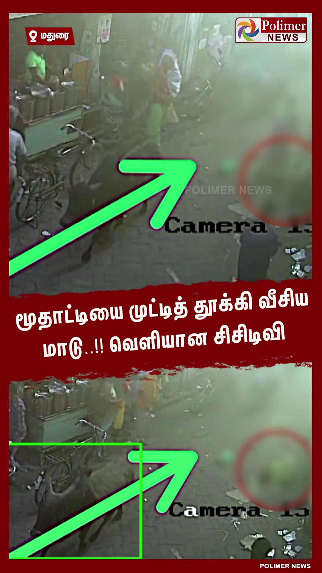 மூதாட்டியை முட்டித் தூக்கி வீசிய மாடு..!! வெளியான சிசிடிவி #shorts