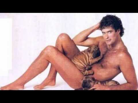 DONT HASSLE ZE HOFF!