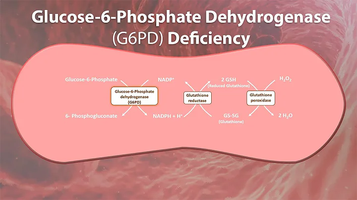 Glucose-6-Phosphate Dehydrogenase deficiency - G6PD deficiency, features, Offending & Safe drugs
