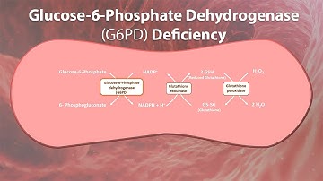 Glucose-6-Phosphate Dehydrogenase deficiency - G6PD deficiency, features, Offending & Safe drugs