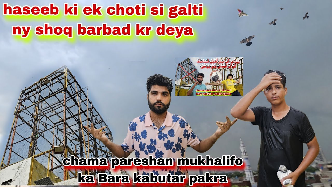 Haseeb ki waja sy bara nuqsan barish shoq waly kabutar sub le gai😯shoq barbad chama pareshan 