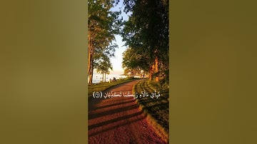 محمد صديق المنشاوي { سورة الرحمن } ومن دونهما جنتان