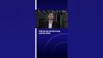 Chất xúc tác cho thị trườngcuối năm 2025 | VTVIndex