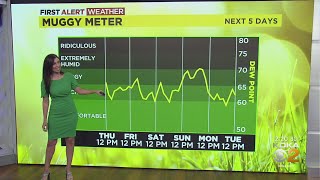 KDKA-TV Afternoon Forecast (7/21)