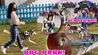 ZYBER’s DAY OUT! | Went To Outlets Lipa! | Husky Pack TV