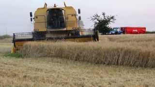 Moisson d'orge escourgeon 2013 dans l'Indre, FRANCE