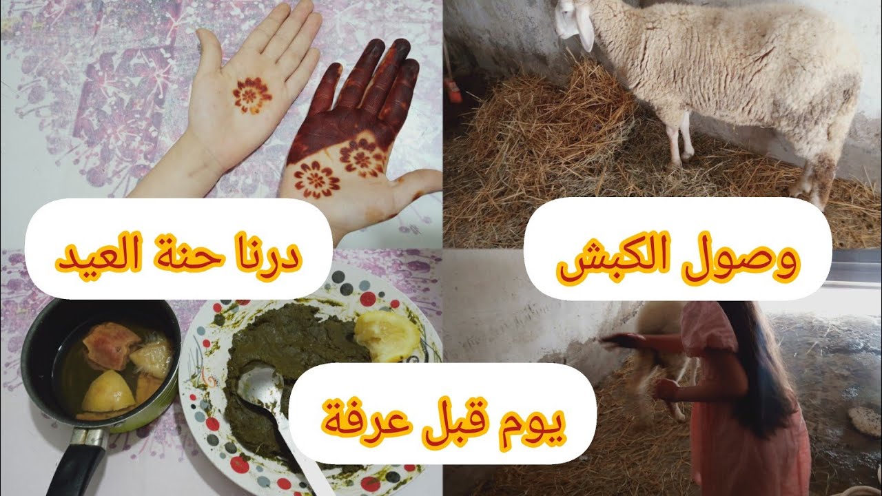 أجواء العيد في داري🐑وصول كبش العيد🎉ميناج العيد و درنا حنة العيد 🐑