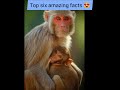 Facts about animals