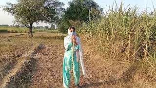 Working In The Beautiful Field Countryside Vlog Life Life Vlogvillagelifepunjab