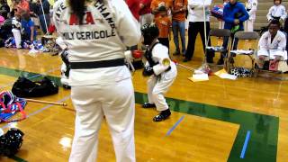Joy's Tiny Tiger Sparring Green Belt