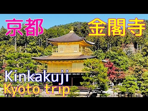京都????金閣寺【紅葉の中輝く✨金閣寺】Kinkakuji Temple Kyoto Japan