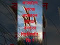 RIDDLE OF THE DAY | ধাঁধা প্রশ্ন ও উত্তর | গুগলি প্রশ্ন ও উত্তর | ধাঁধা |