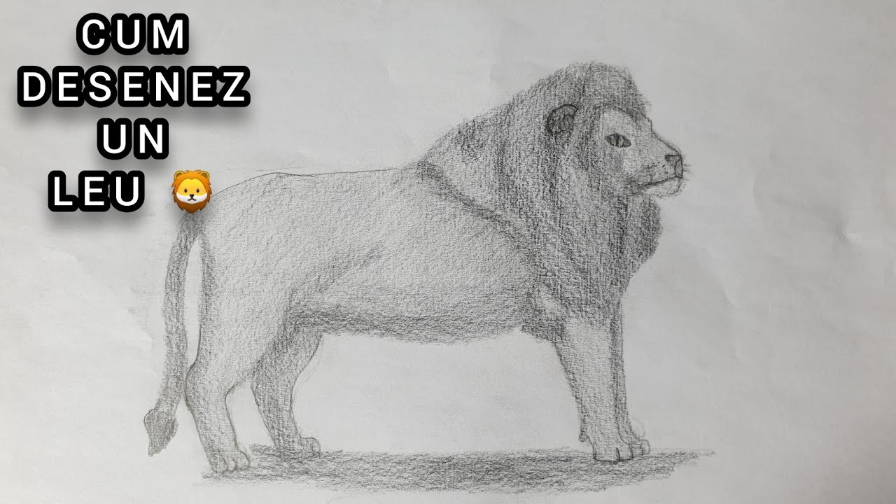 spontaneous delicacy Linguistics Cum desenez un Leu 🦁 | Desene în creion | - YouTube