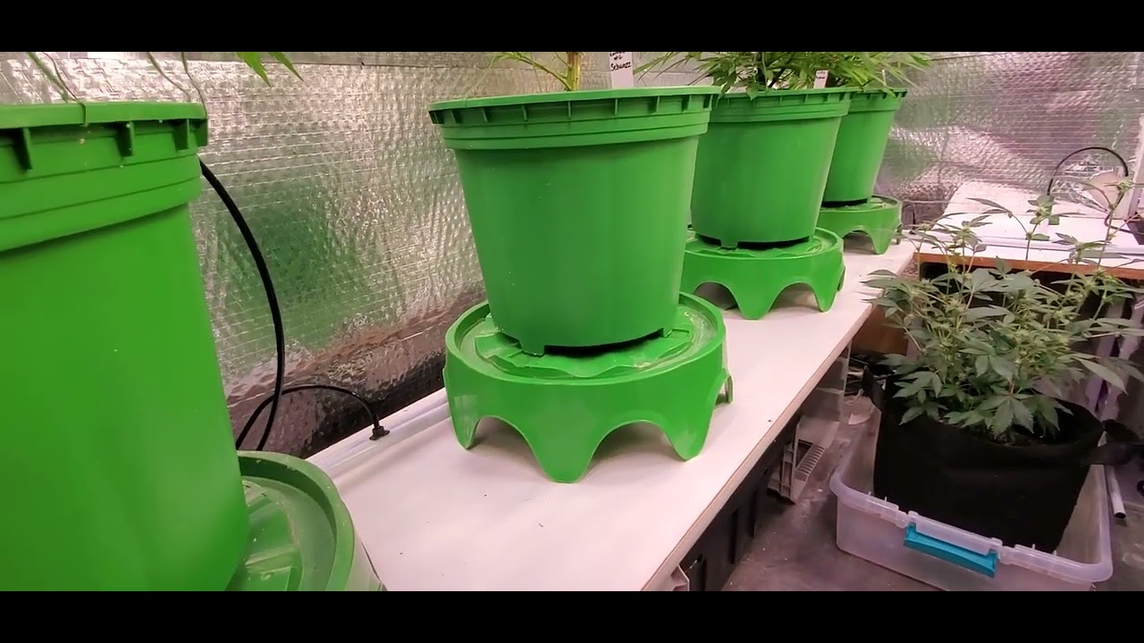 review of the floraflex 9 site platform setup 👌 YouTube