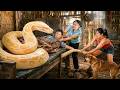 72 Hours of Terror: Giant Albino Python Invades Farm While Man Sleeps | Brave Rescue on the Farm!