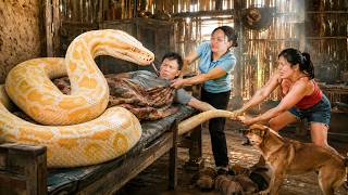 72 Hours of Terror: Giant Albino Python Invades Farm While Man Sleeps | Brave Rescue on the Farm!