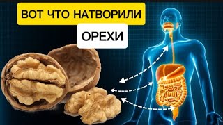 Ел по 1шт ГРЕЦКОГО ОРЕХА в день и вот что  произошло с моим телом...(должен знать каждый