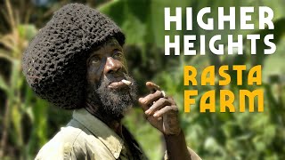 Hike to Higher Heights! Rasta Style Slow Farming in the Mountains of JAMAICA🇯🇲
