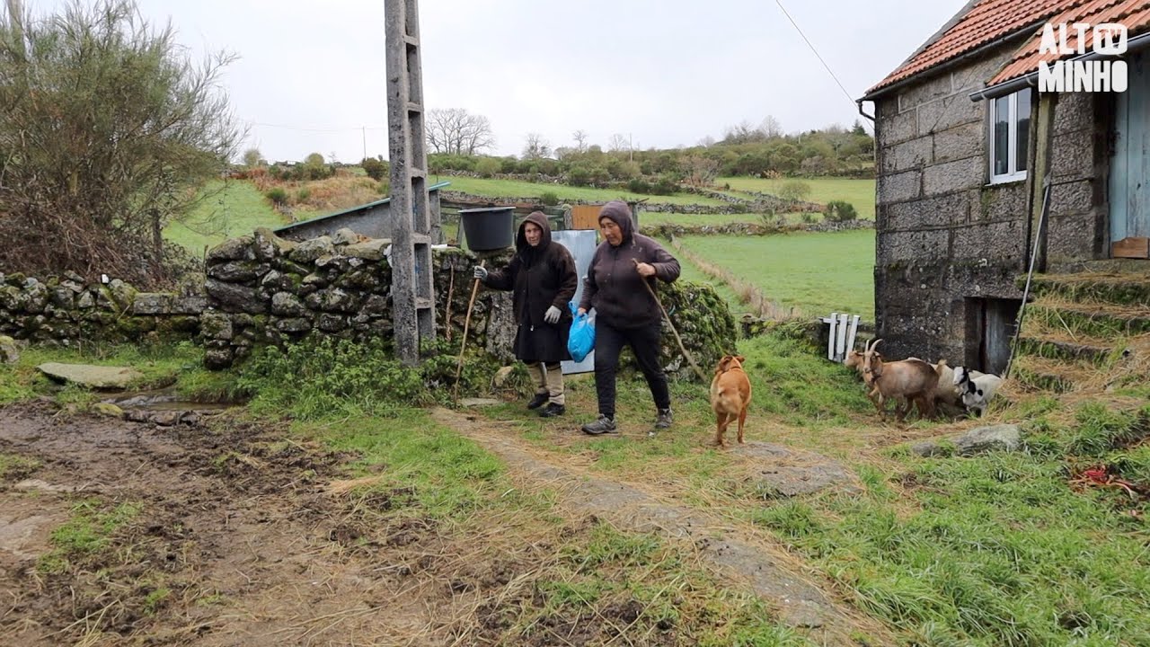Mãe e filha mantêm tradição da transumância em Castro Laboreiro | Altominho TV