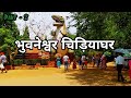 Bhubaneswar zoo  nandankanan zoological park      part  2