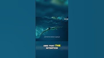 The Power of Intention  How It Shapes Your Reality