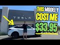 My New Tesla Model Y Cost Me $33.95.