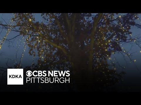 Dazzling Nights Pittsburgh Discount Code