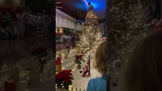 Christmas Tree Lighting Countdown - Fiesta Americana Condesa 🎄 🌴 🎅