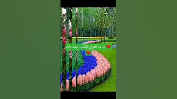 تلاوه خاشعه بصوت القارئ اسلام الصبحي ❤️😌 #القرآن