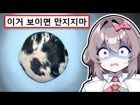 실제로 목격된 기괴한 현상들 TOP3